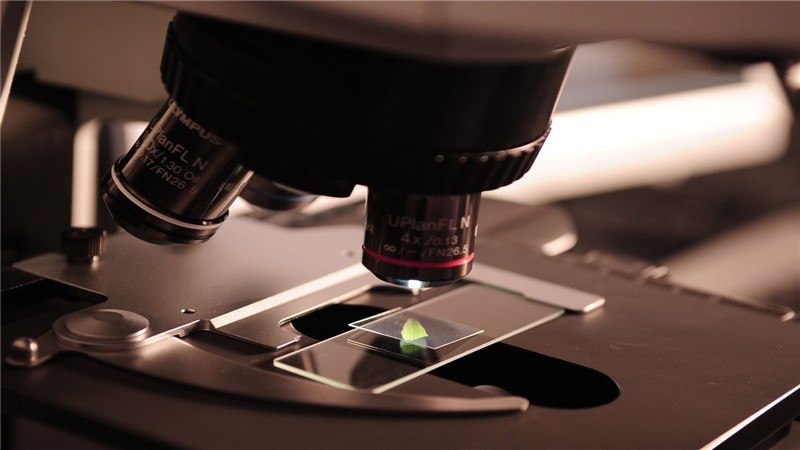 列文虎克观察什么造出显微镜