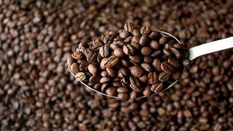 阿拉比卡咖啡豆的特点